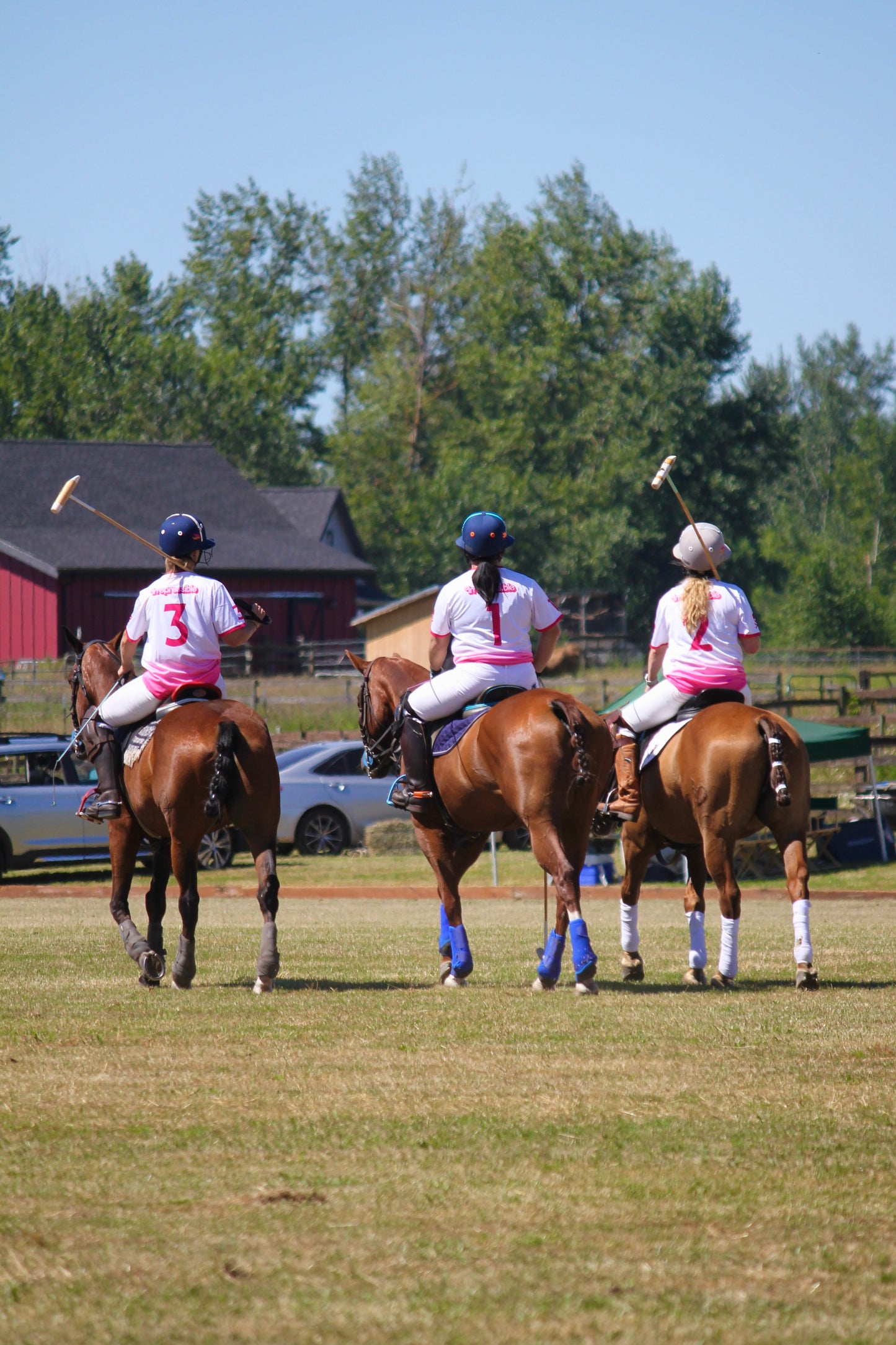 Custom Polo Jerseys (Set of 5)