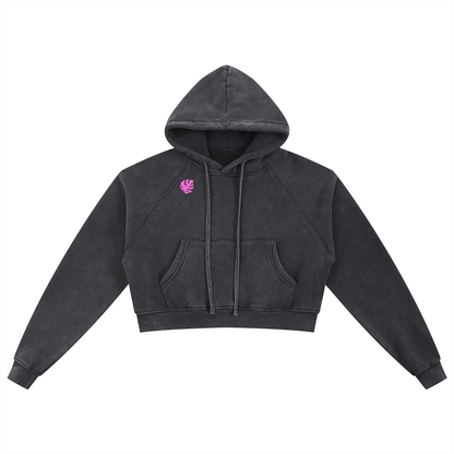 Snow Washed Cropped Hoodie