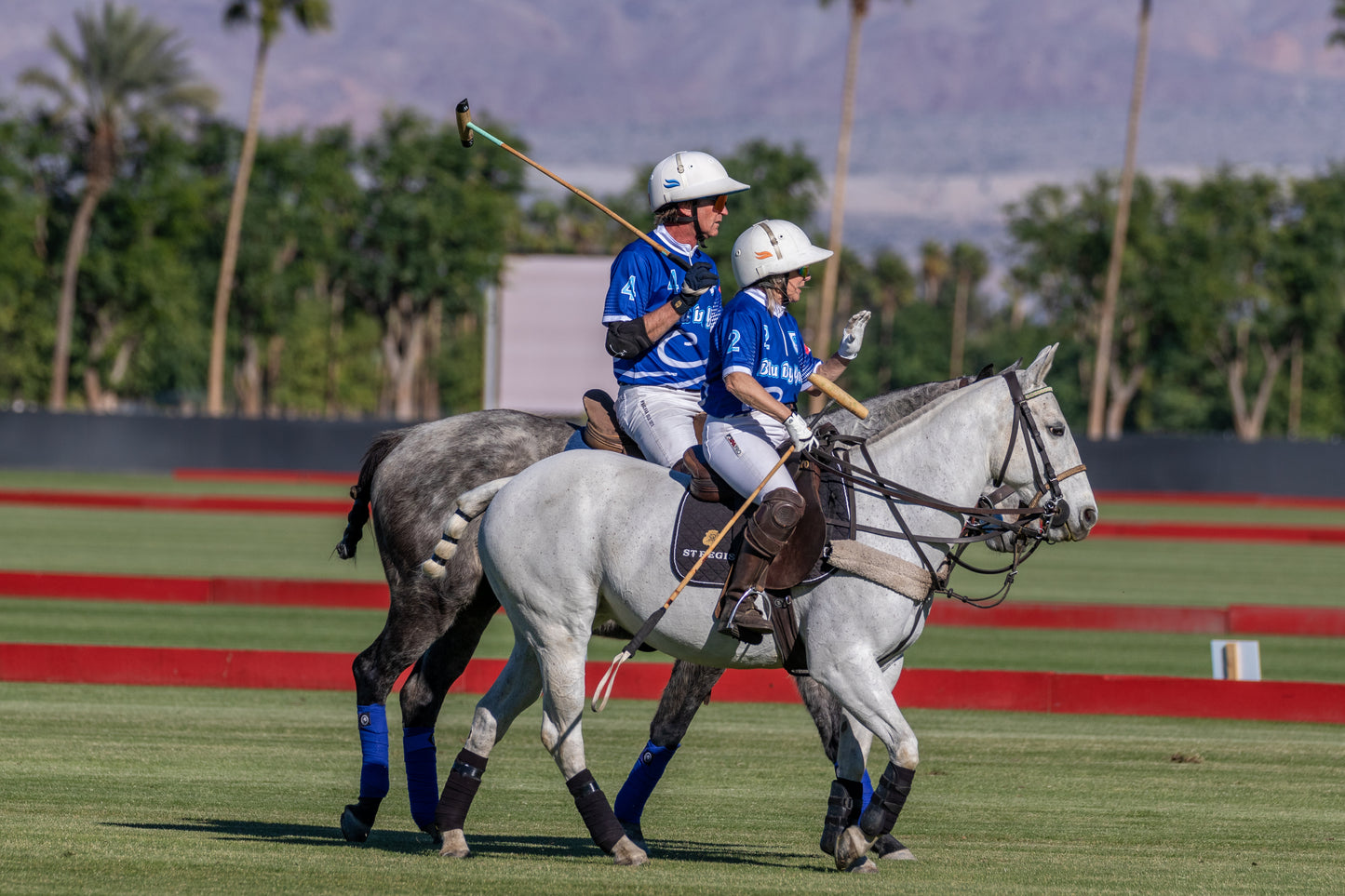 Set of 5 Polo Jerseys + Design Consultation