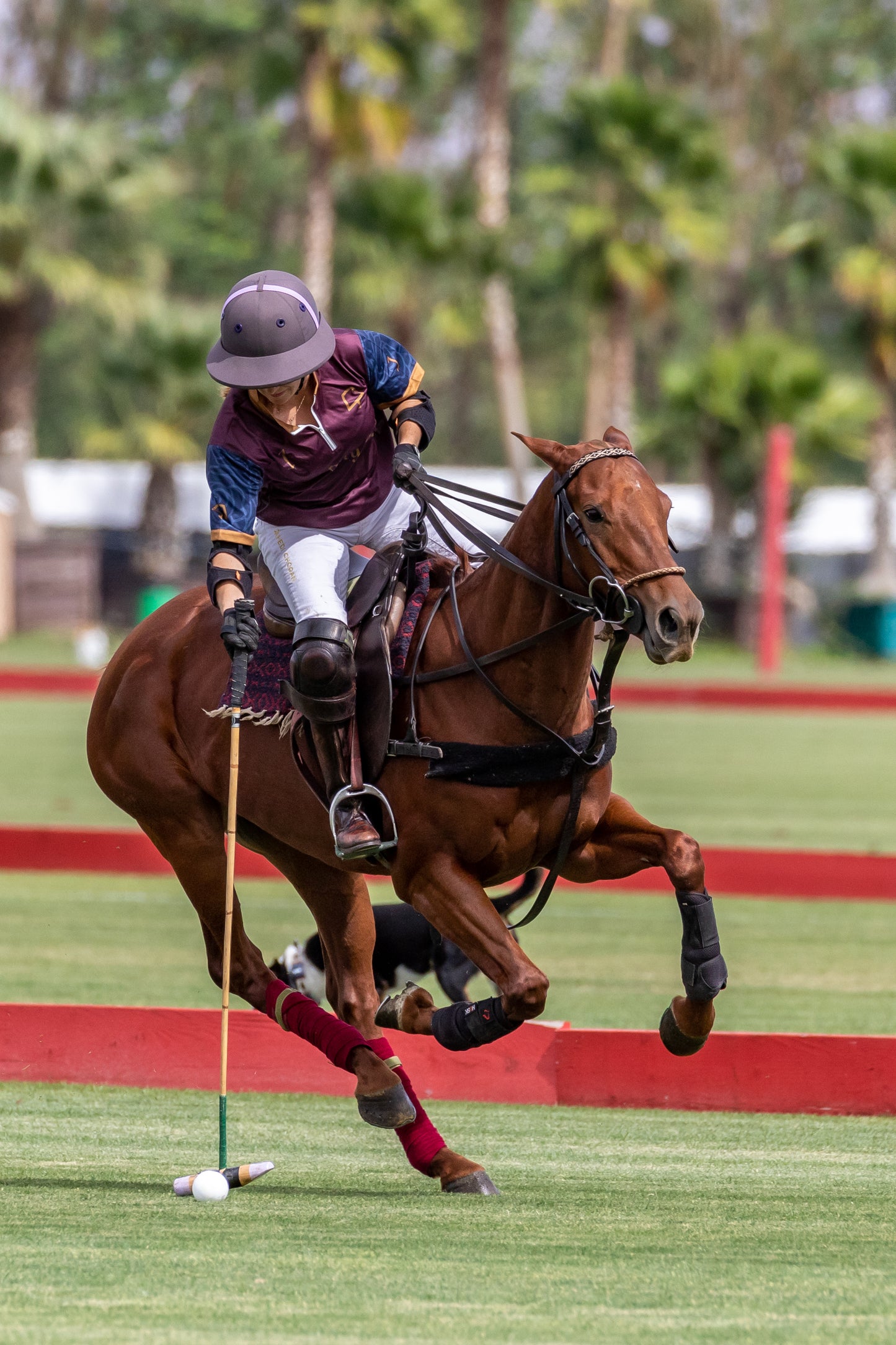 Custom Polo Team Jerseys worn at the Eldorado Polo Club Women's League