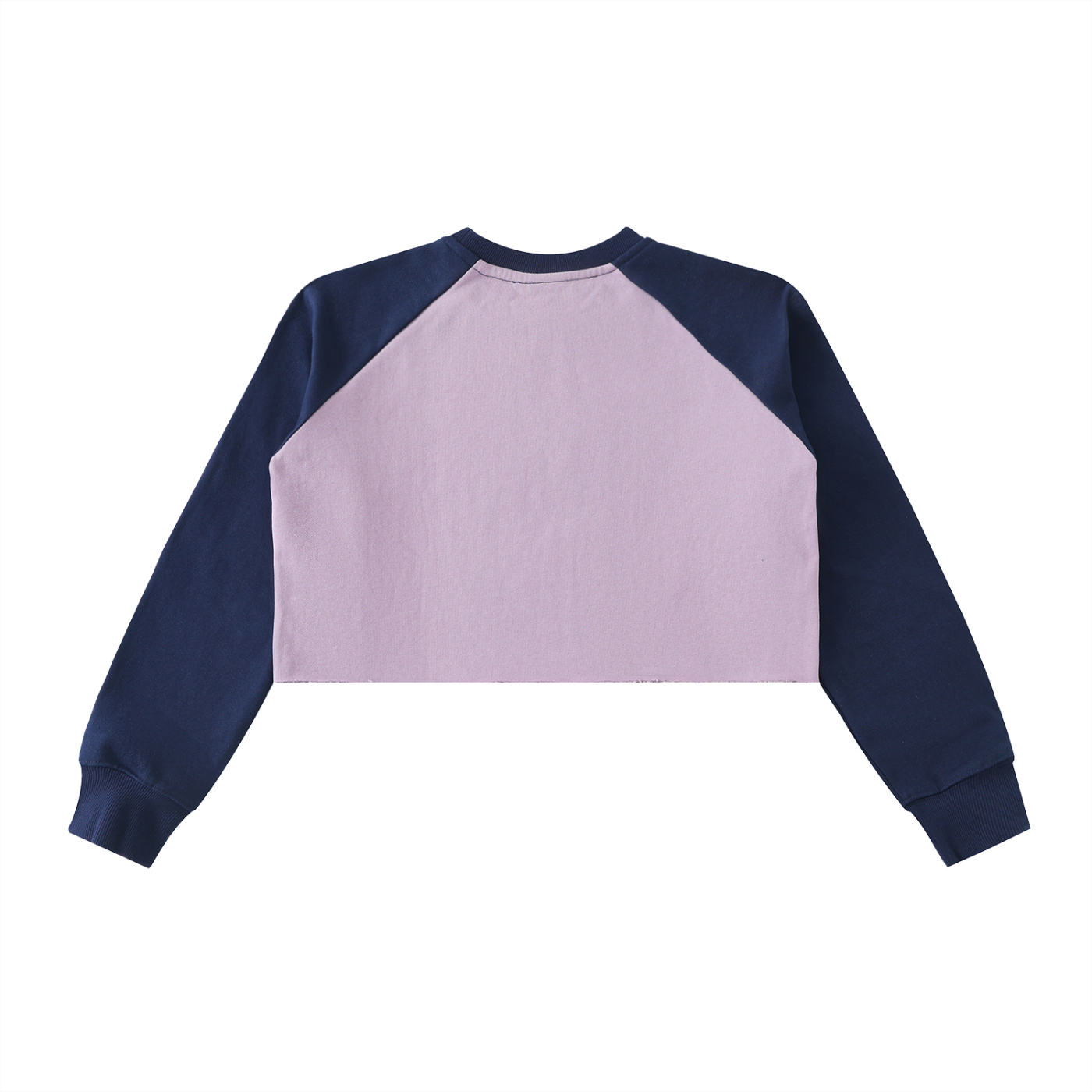 Year of the Unicorn Raw-Hem Color-Block Raglan Crop Sweatshirt